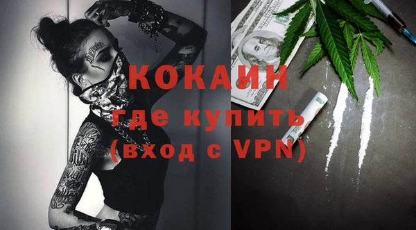 хмурый Арсеньев