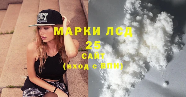 хмурый Арсеньев