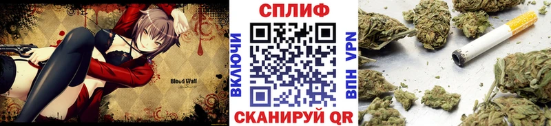 где можно купить наркотик  Шилка  Канабис тримм 